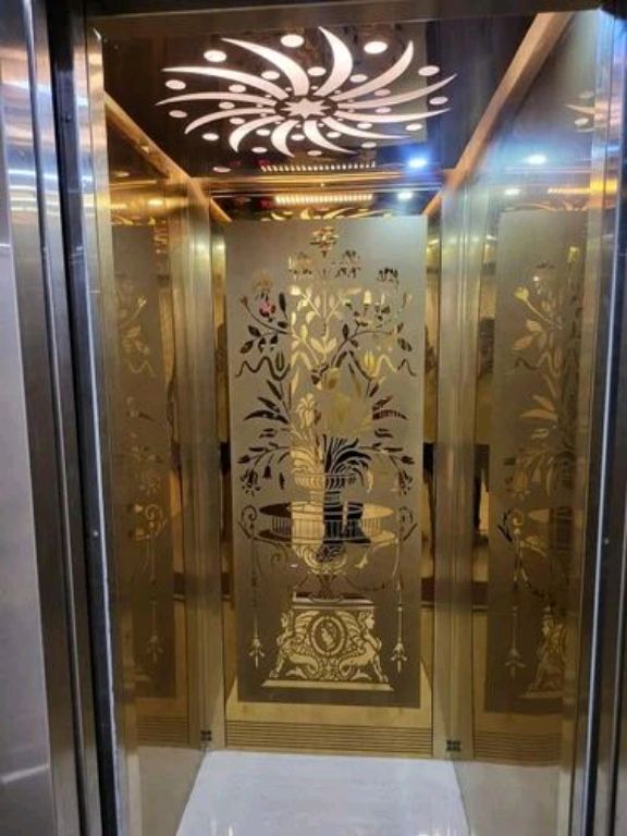 Modern 6-Level Stainless Lift by Home lift elevator