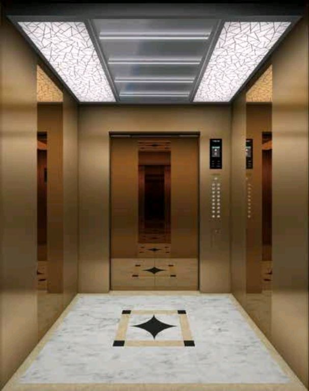 Six-Floor Passenger Elevating System by Home lift elevator