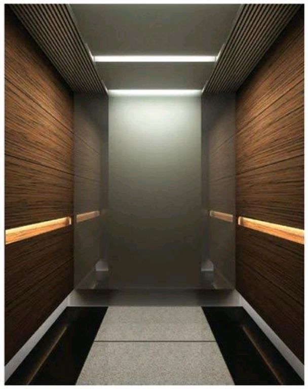 450kg Capacity Residential Elevator by Home lift elevator