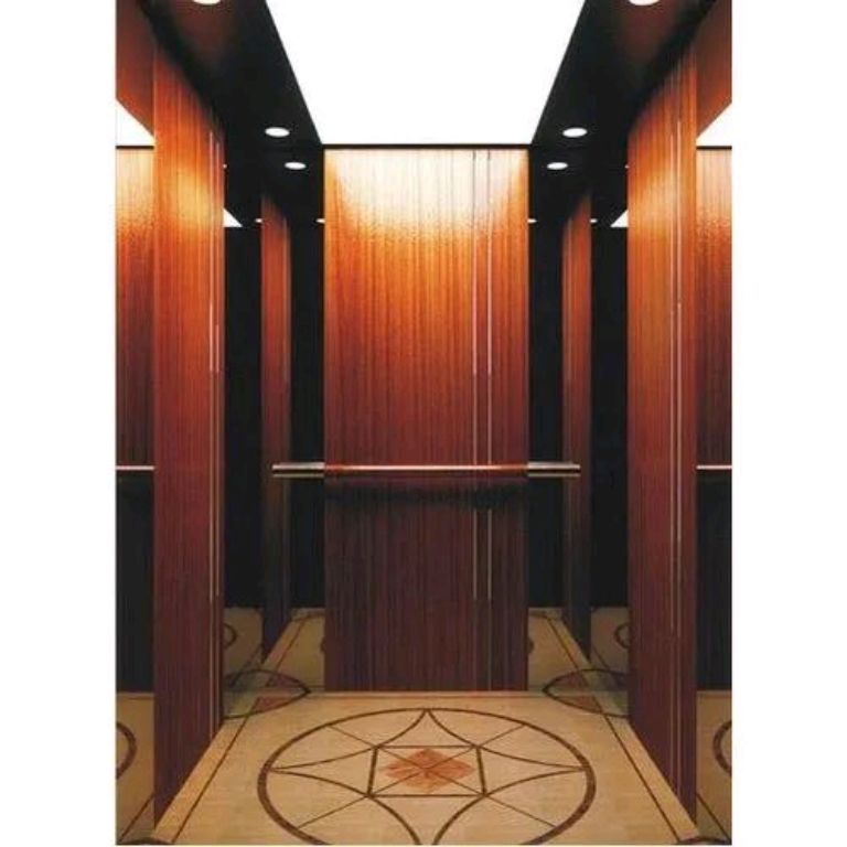 7-Landing Stainless Lift System by Home lift elevator
