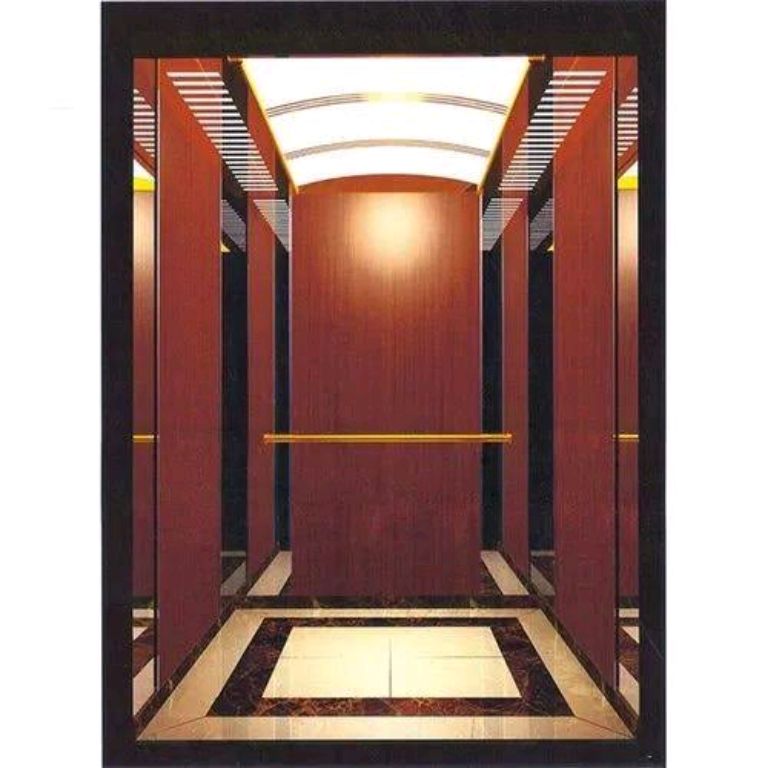 Seven-Point Vertical Mobility Lift by Home lift elevator