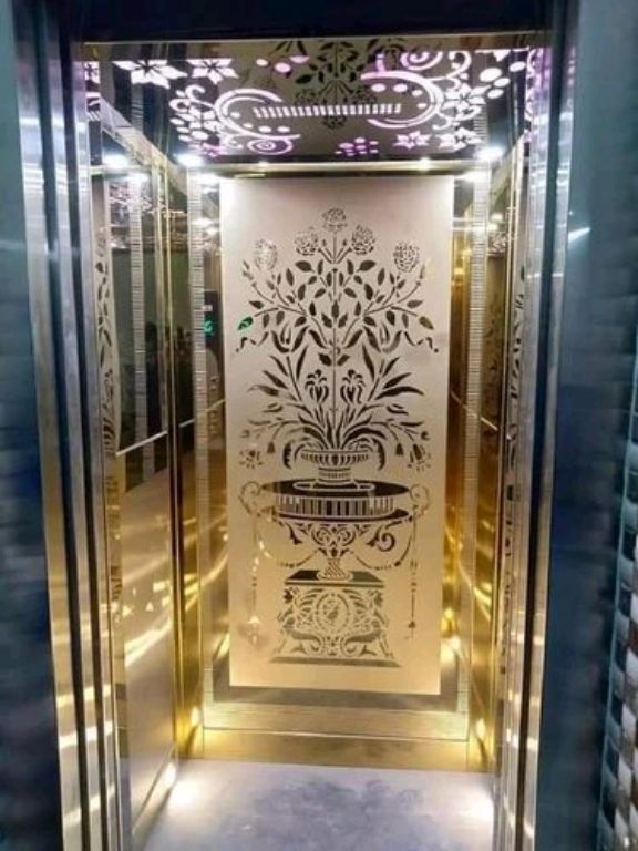 Mid-Rise 450kg Elevator for Residences by Home lift elevator