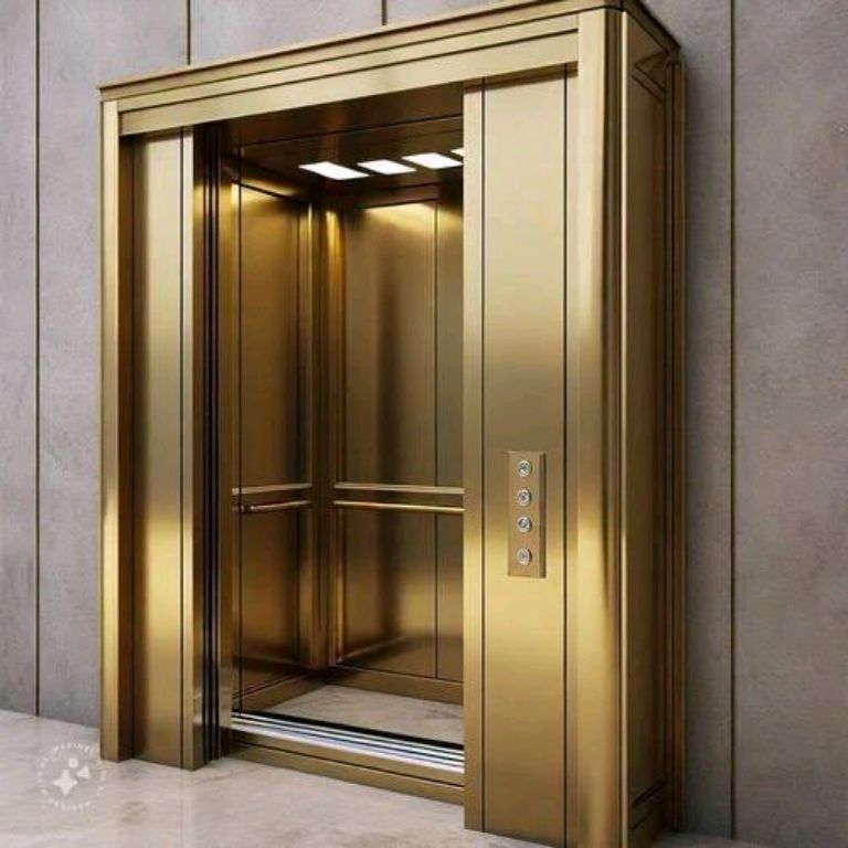 6-Person Elevator for Residential or Commercial Use by Home lift elevator