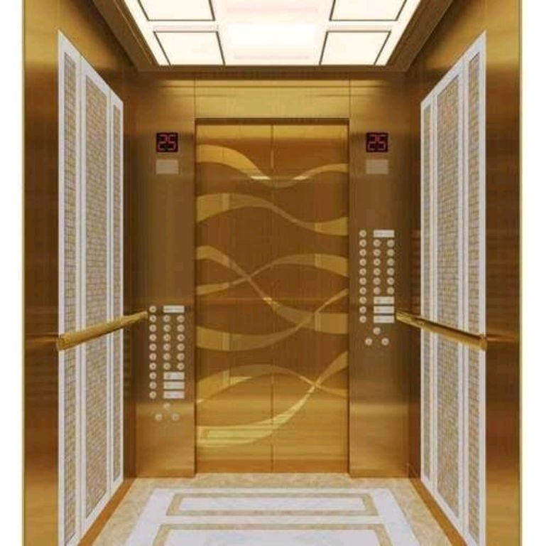 6-Person Lift for Mid-Rise Structures by Home lift elevator