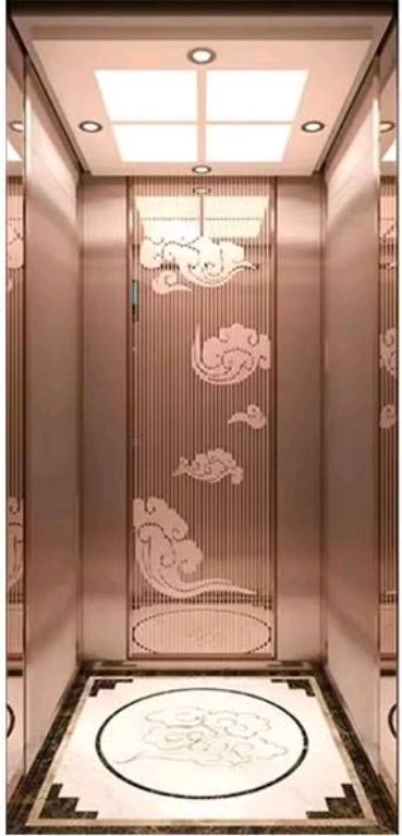 450kg 8-Level Passenger Elevator System by Home lift elevator