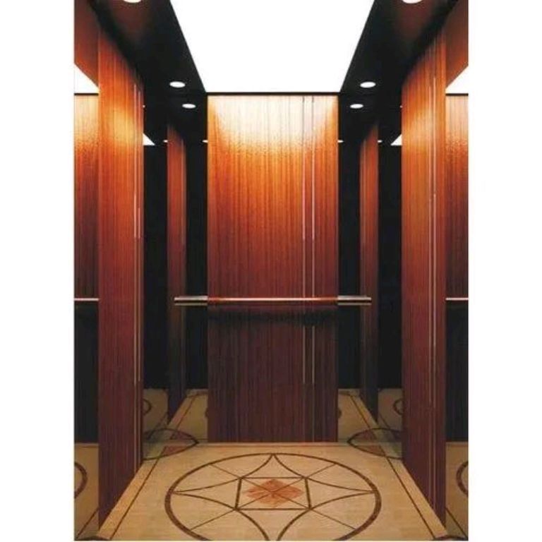 450kg Rated Vertical Lift for Buildings by Home lift elevator