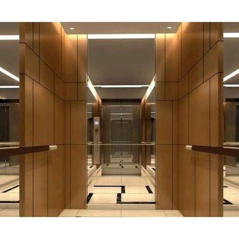 Eight-Floor High-Capacity Passenger Elevator by Home lift elevator