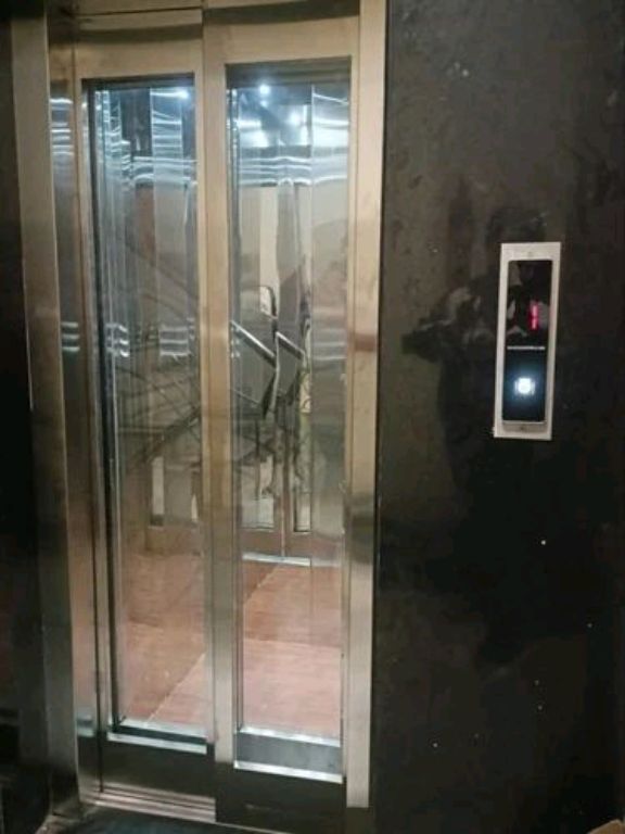 Modern 320kg Passenger Elevator System by Home lift elevator