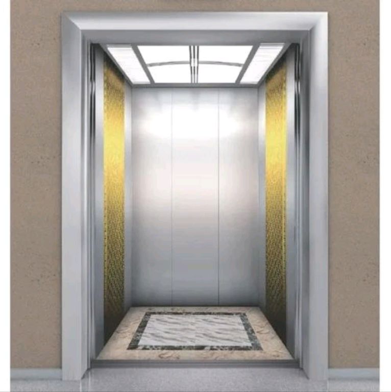 320kg Modern Stainless Steel Lift by Home lift elevator
