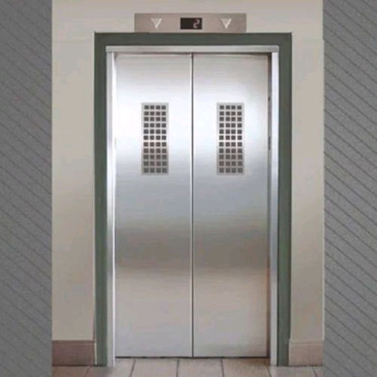Stainless Steel Home Passenger Lift (320kg) by Home lift elevator