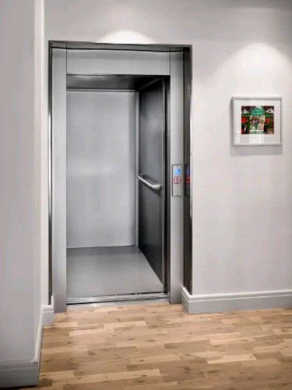320kg Mini Passenger Elevator System by Home lift elevator