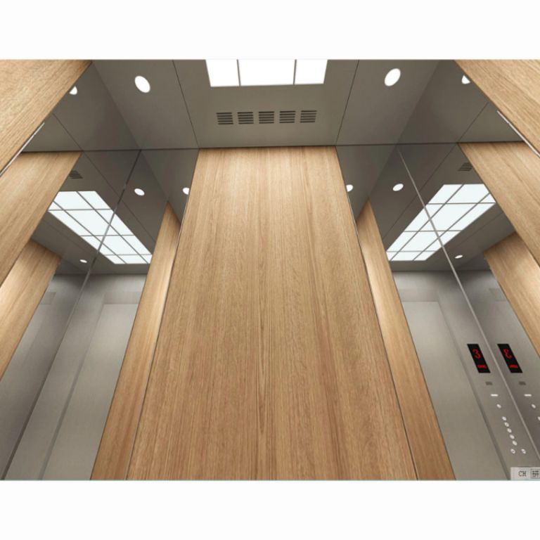 3-Stop Vertical Mobility Lift System by Home lift elevator