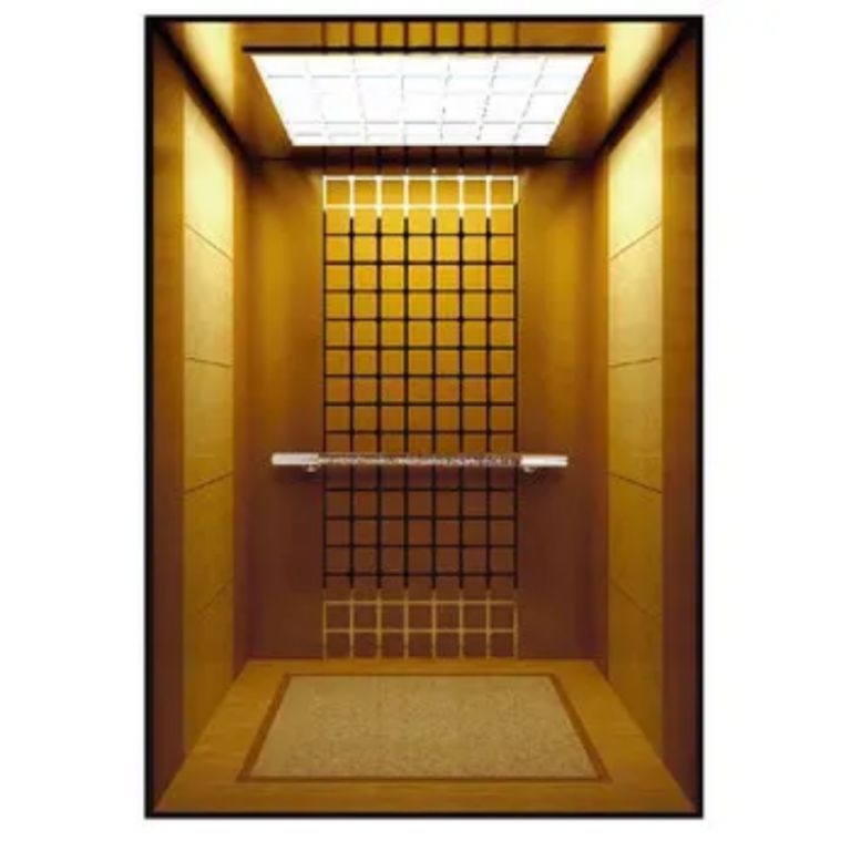 Triple-Stop 8 Passenger Steel Cabin Lift by Home lift elevator