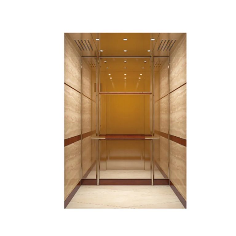 8-Person Steel Enclosed Lift System by Home lift elevator