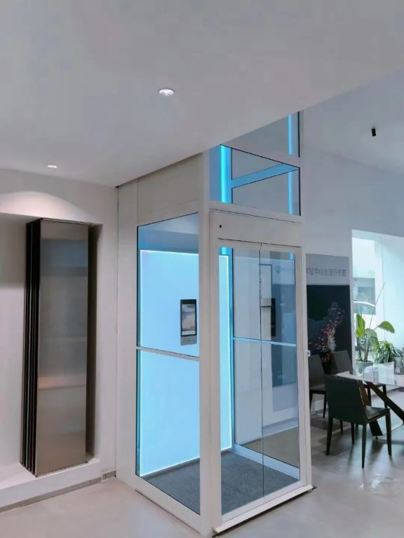 Shaft-Free Residential Lift by Home lift elevator
