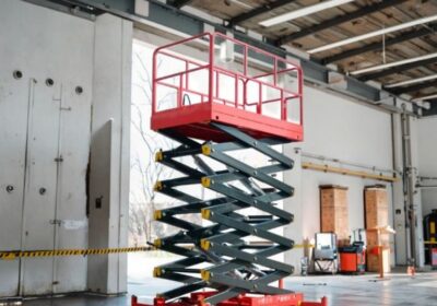 IMG_20250625_27278-1