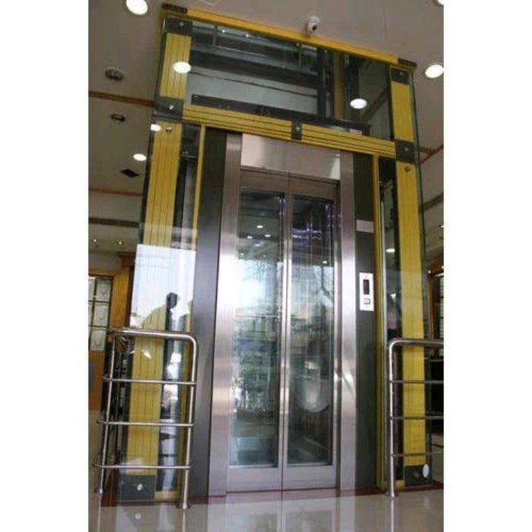 Modern Mall Transit Lift by Home lift elevator