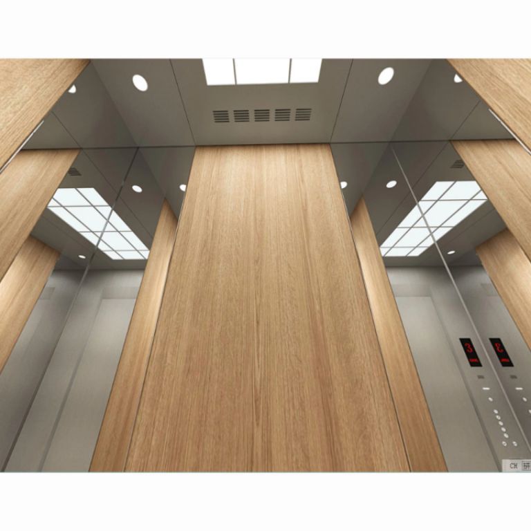 8-Person Elevator for Six-Stop Applications by Home lift elevator