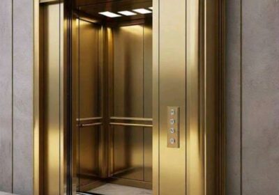 IMG_20250627_24773-1