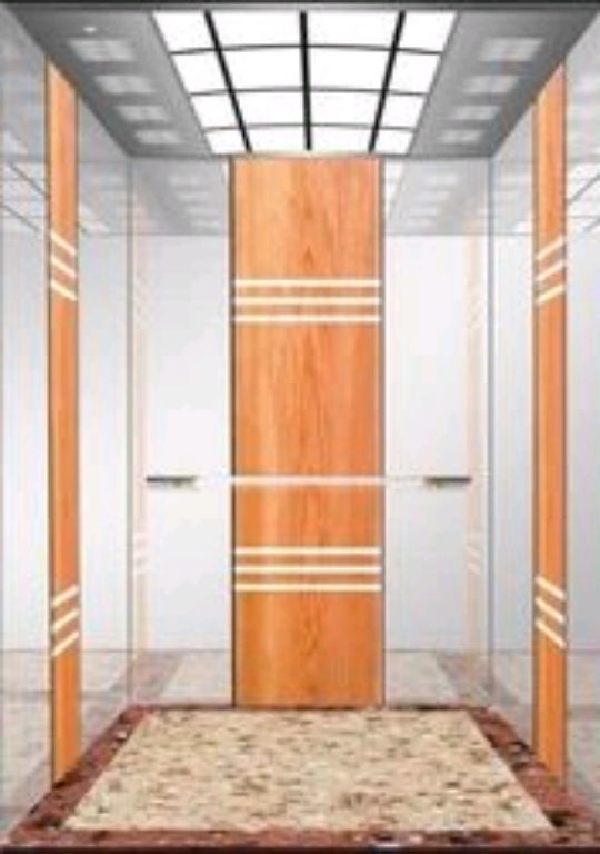 6-Level 8 Person Residential Elevator System by Home lift elevator