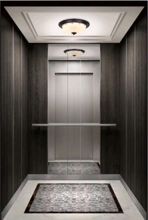 Mid-Level 12-Passenger Lift System by Home lift elevator