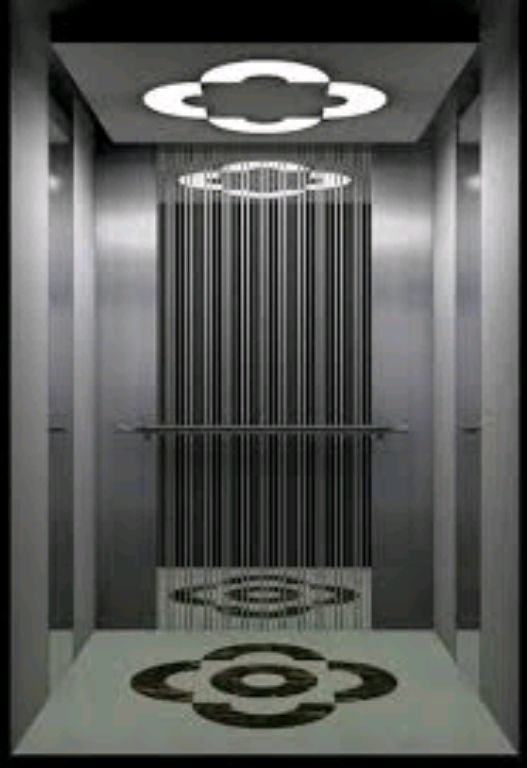 5-Stop Stainless Passenger Elevator for 12 Persons by Home lift elevator