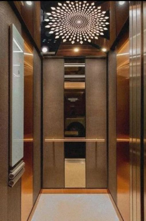 1250kg Multi-Passenger Vertical Lift by Home lift elevator