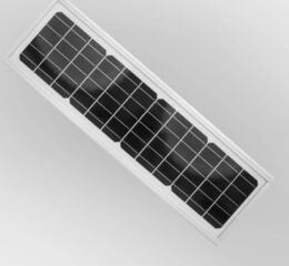 1000982733